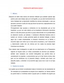 Propuesta metodologica