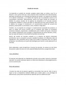 Negociaciones internacionales Migo Natural Co