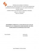 MANTENIMIENTO CORRECTIVO A LA CAPA ASFÁLTICA DE LAS CALLES PRINCIPALES DE LA URBANIZACIÓN LORENZO MARCHENA