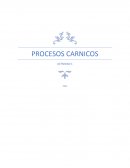PROCESOS CARNICOS ACTIVIDAD 1