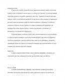 Proyecto marketing empresa “Dulce Amor”