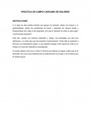 PRÁCTICA DE CAMPO CÁRCAMO DE DOLORES