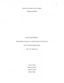 Desarrollando un Negocio: La Piqué Boutique Con Pique.com