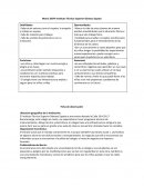Matriz DOFA y Ficha De Observacion Colegio Tecnologico