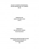 ANALISIS Y DIAGNOSTICO ORGANIZACIONAL . ANALISIS ORGANIZACIONAL DE LA EMPRESA