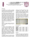 Práctica Determinación de aminoácidos terminales con grupo alfa amino libre