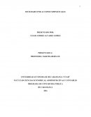 SOCIEDADES POR ACCIONES SIMPLIFICADAS