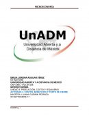 Actividad. Costos, beneficios y punto de cierre