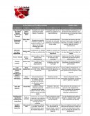 Plan anual deportivo