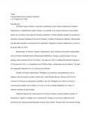 Europa después de la caída de Napoleón Bonaparte y el Congreso de Viena