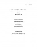 Mercadotecnia CARPINTERIA MANDUJANO