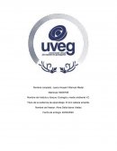 Loro cabeza amarilla