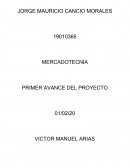 MERCADOTECNIA EMPRESA: LAS ALITAS