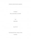 Comprensión y producción del discurso argumentativo