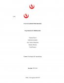 Experimento de Habituación