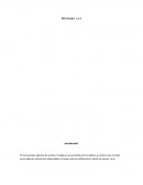 Microscopia 1 y 2