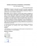 Diferencia entre mezclas homogeneas y heterogeneas