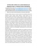 EXTRACCIÓN LÍPIDICA DE LODOS RESIDUALES URBANOS PARA LA PRODUCCIÓN DE BIODIESEL