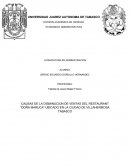 CAUSAS DE LA DISMINUCION DE VENTAS DEL RESTAURANT “DOÑA MARUCA”