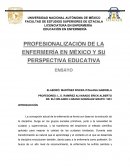 PROFESIONALIZACION DE ENFERMERIA