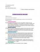 SEGMENTACIÓN DEL MERCADO PRODUCTO: tizanas