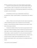 PRACTICA 3 Destilación por arrastre de vapor Y destilación a presión reducida
