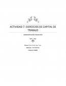 Ejercicios de capital de trabajo