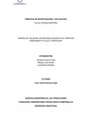 CADENA DE VALOR DE UN PROCESO PRODUCTIVO. EMPLEAR HERRAMIENTA VALUE STREAM MAP