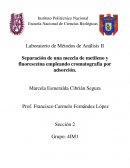 Separación de una mezcla de metileno y fluoresceína empleando cromatografía por adsorción