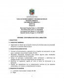 INFORME: CONTAMINACION POR ILUMINACIÓN