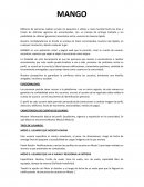 Configuración DMS en ERP. MANGO