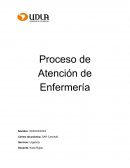 PROCESO ATENCION DE ENFERMERIA Anamnesis Remota