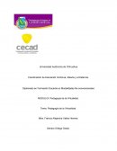 Pedagogía de la Virtualidad