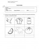 Guia Lenguaje 1 basico