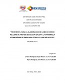 Propuesta para la elaboracion de lomo de cerdo relleno de frutos secos con salsa a la carambola acompañado de ensalada citrica y pure de batata