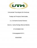 RESUMEN CASO INTERMÓN OXFAM