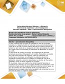 Fase 5 -Aproximación etnográfica.Carnaval de Negros y Blancos