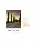 ELEONORE Empresa de seguridad micro aérea