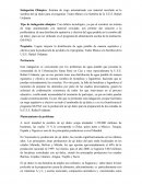 Siembra del ají dulce