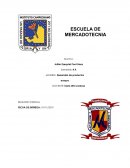 Desarrollo de productos