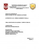 SECRETARÍA DE HACIENDA Y CRÉDITO PÚBLICO