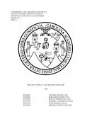 PRACTICA“TORCA Y ACELERACIÓN ANGULAR”