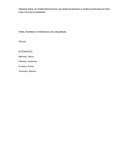 Incendio del amazonas