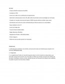 CASO TEXTILES DE LEON