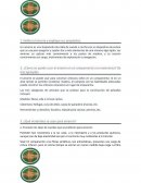 Especialidad Amarres