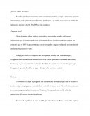 Investigación Flash - Adobe Animate