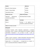 Diagnostico organizacional y consultoría administrativa