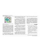 El elogio de lo elemental