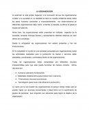 TIPOS DE ORGANIZACIONES