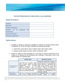 Formato Observando al observador y sus resultados